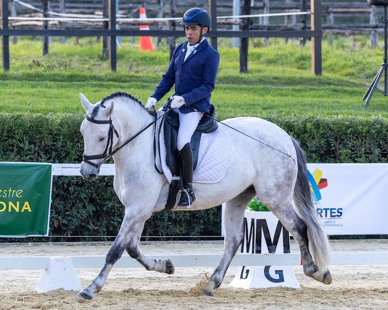 A man is riding a white horse in a ring.