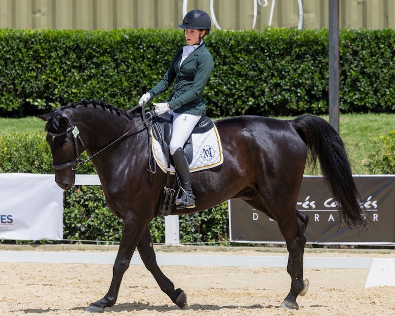 A woman in a green jacket is riding a black horse