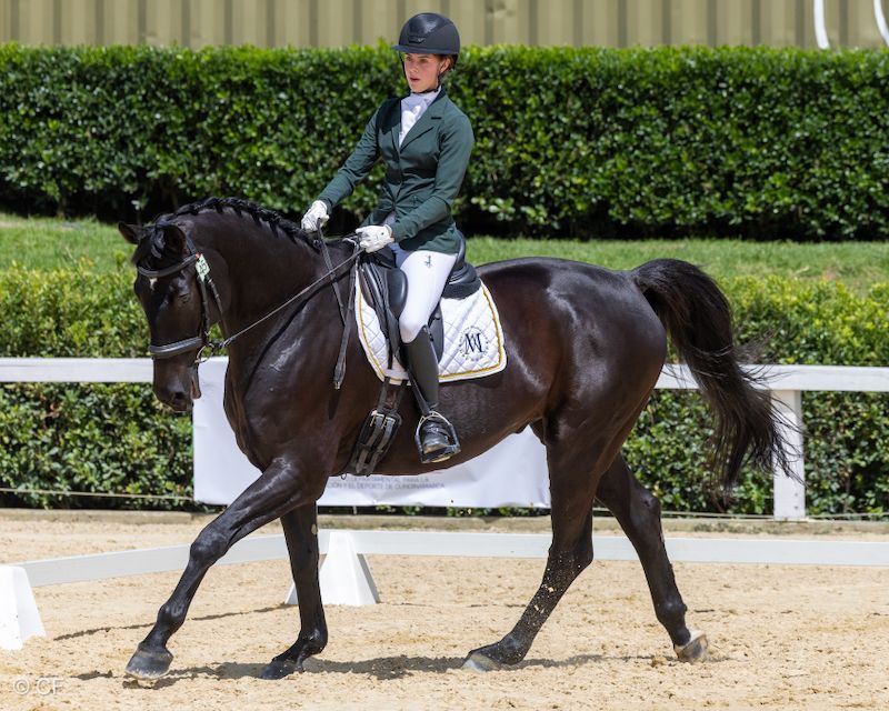 A woman is riding a black horse in a ring.