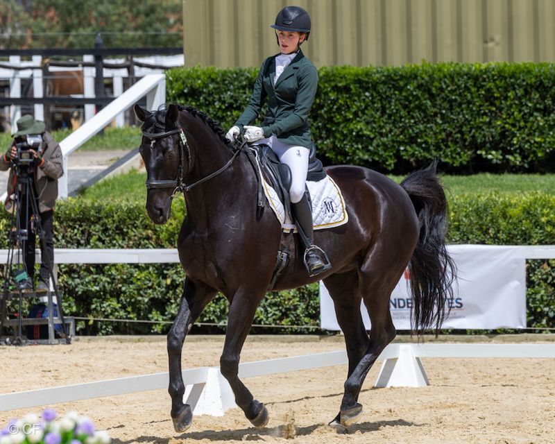 A woman is riding a black horse in a ring.