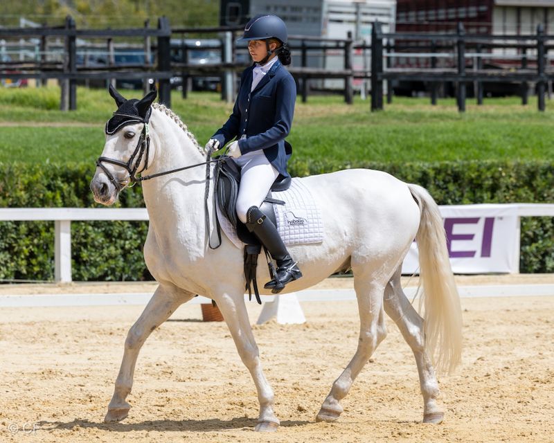 A woman is riding a white horse on a dirt track.