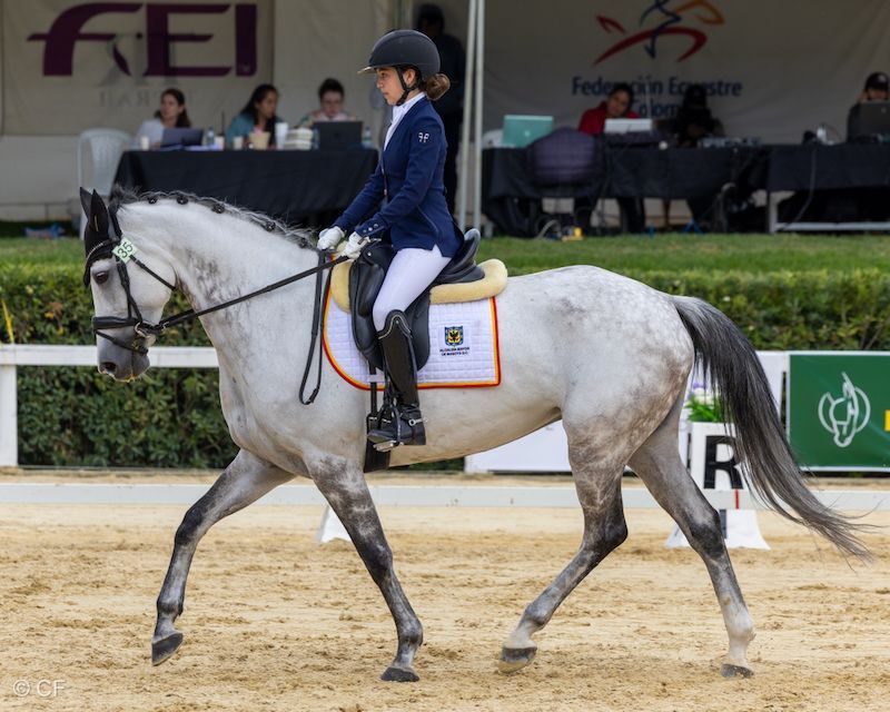 A woman is riding a horse in a ring with a sign in the background that says fei