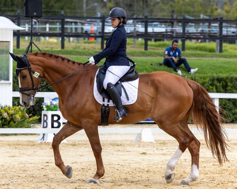 A woman is riding a brown horse on a dirt track.