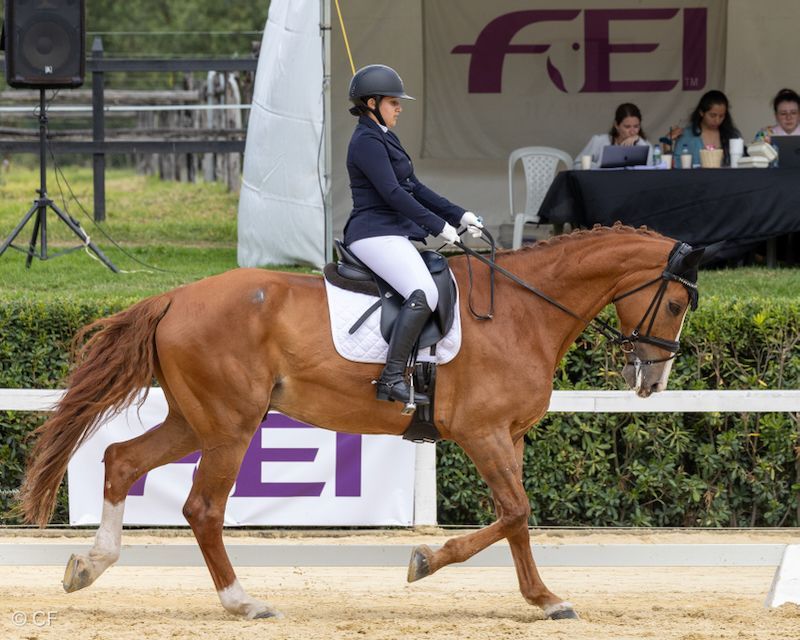 A woman is riding a brown horse in front of a sign that says fei