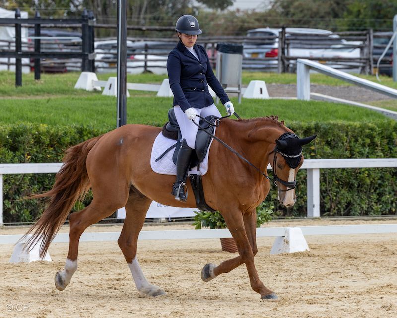 A woman is riding a brown horse in a ring.
