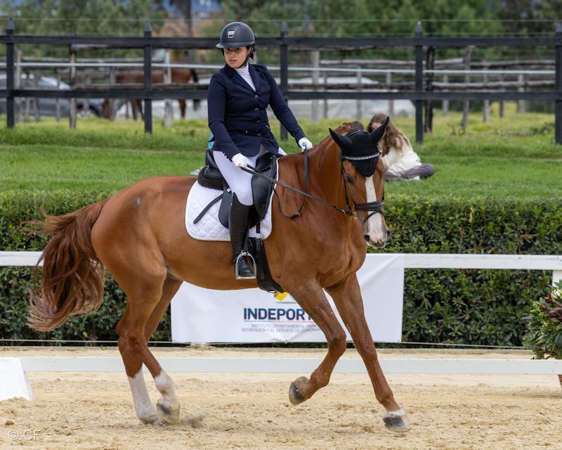 A woman is riding a brown horse in a ring.