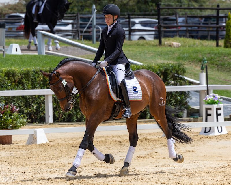 A man is riding a brown horse in a ring.
