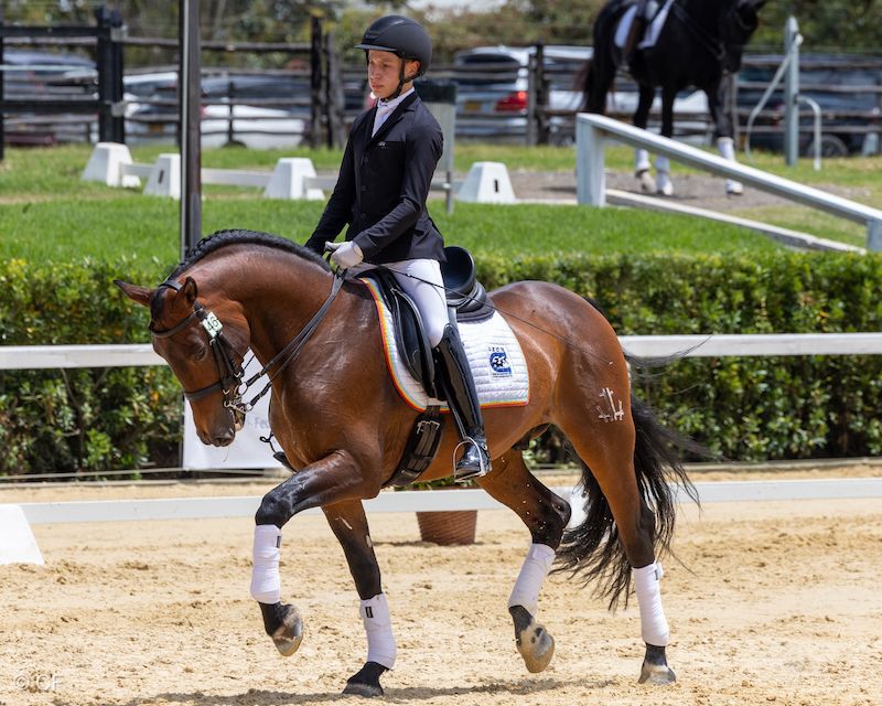 A man is riding a brown horse in a ring.