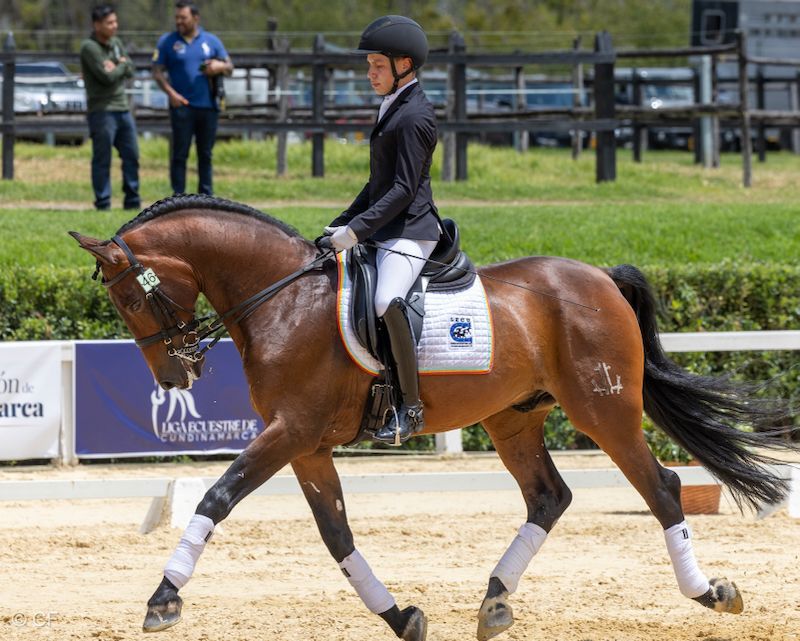A man is riding on the back of a brown horse.