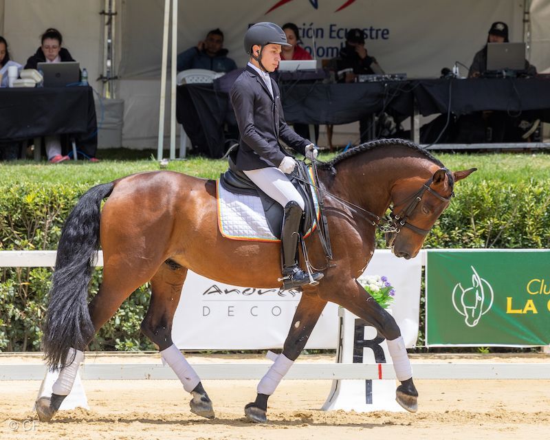 A man is riding on the back of a brown horse