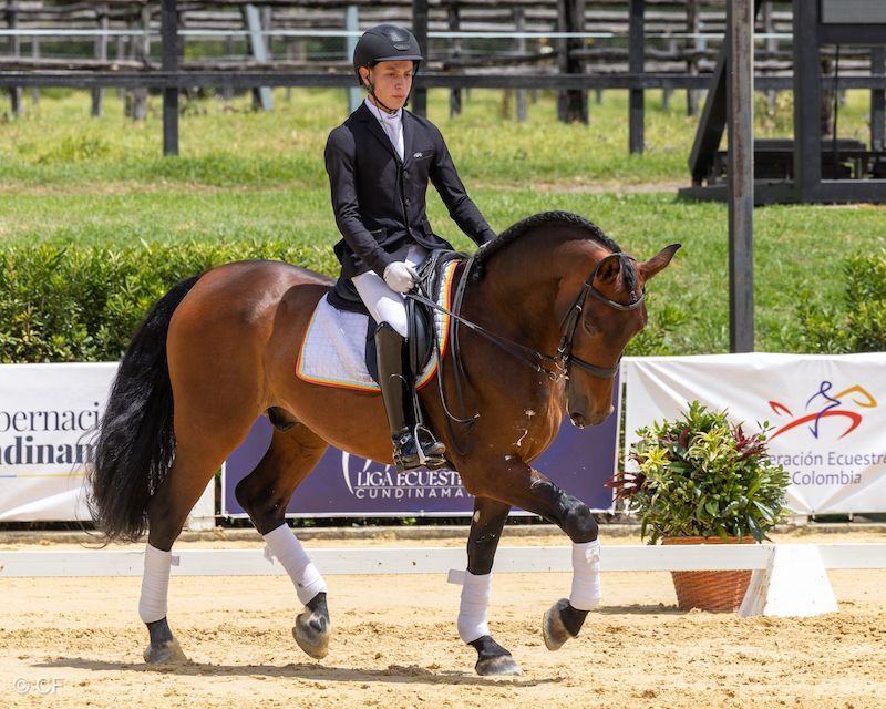 A man is riding a brown horse on a dirt track.