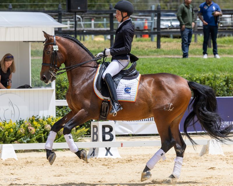 A man is riding on the back of a brown horse.