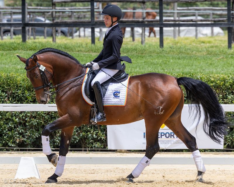A person is riding a brown horse on a dirt track.
