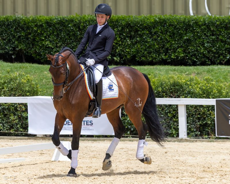 A woman is riding a brown horse in a ring