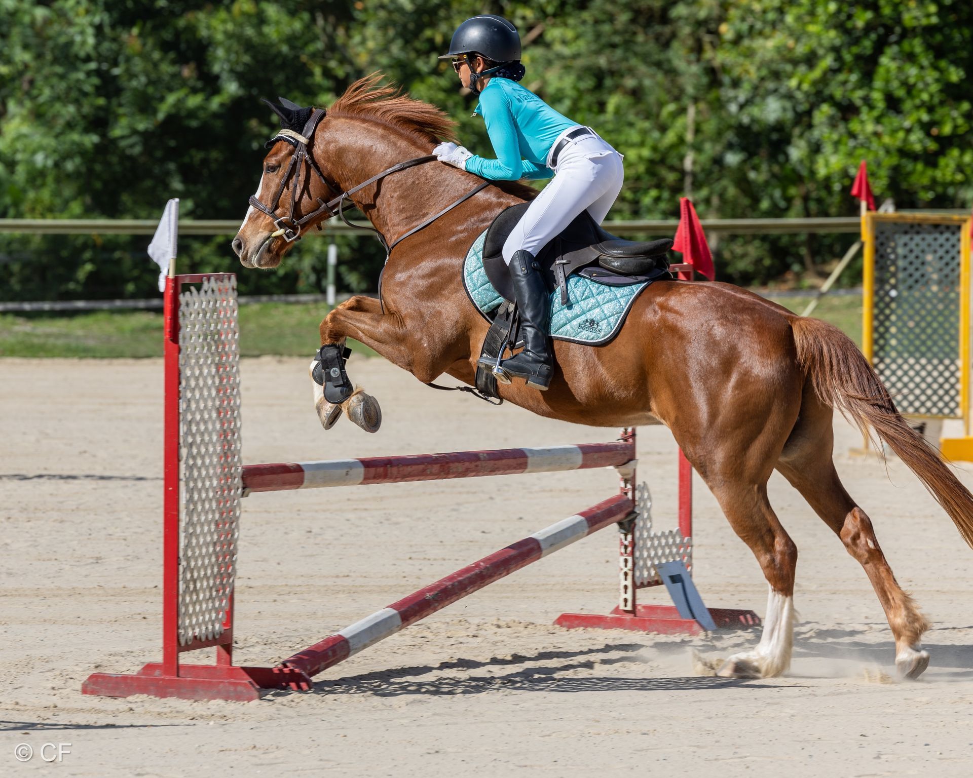 a person riding a brown horse