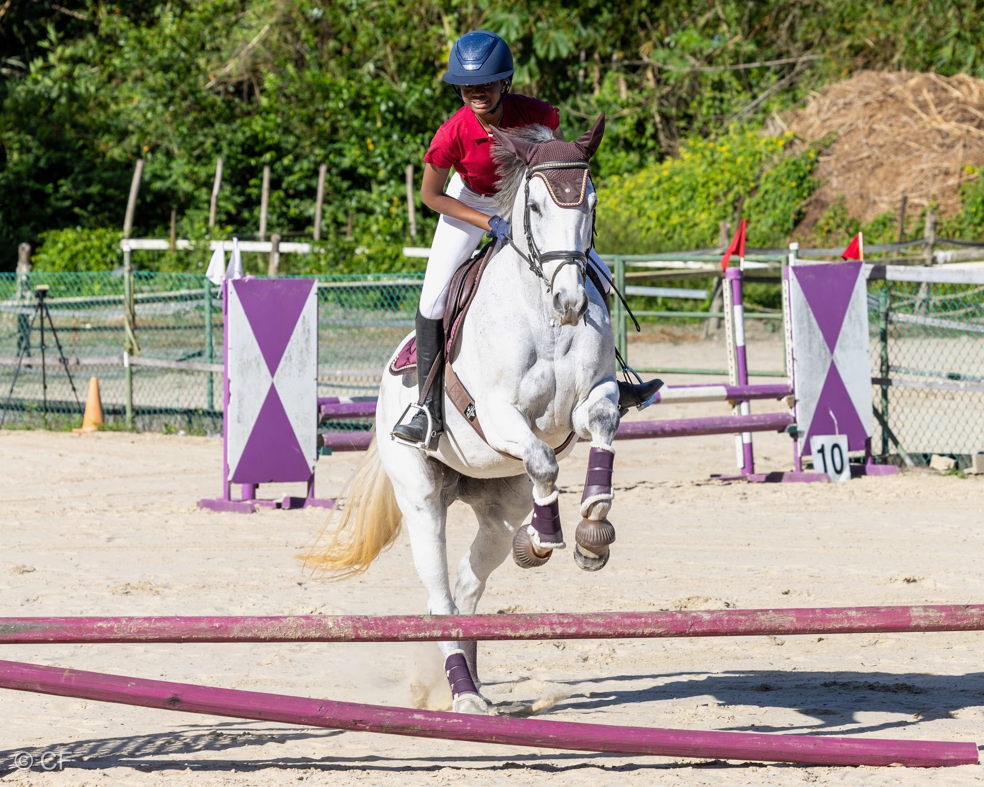 a young person riding a horse with a blue saddle pad