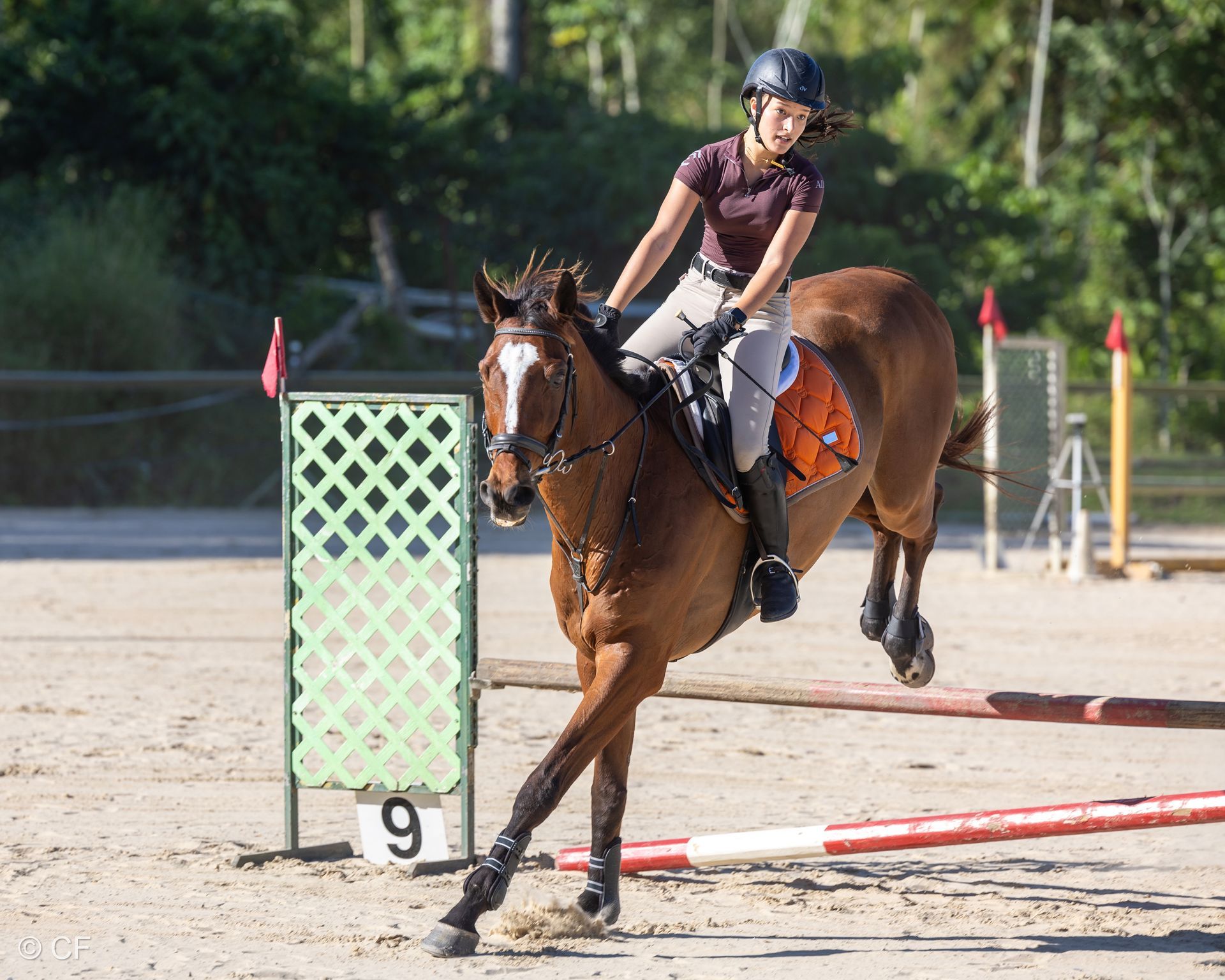 Justynne, Jaimie with Capers & Louvre