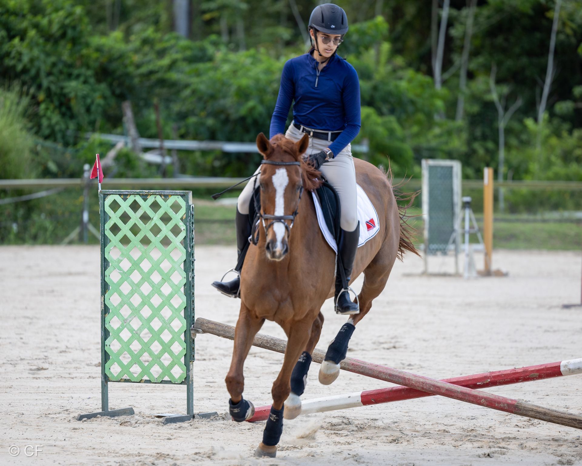 a young girl is riding a black horse