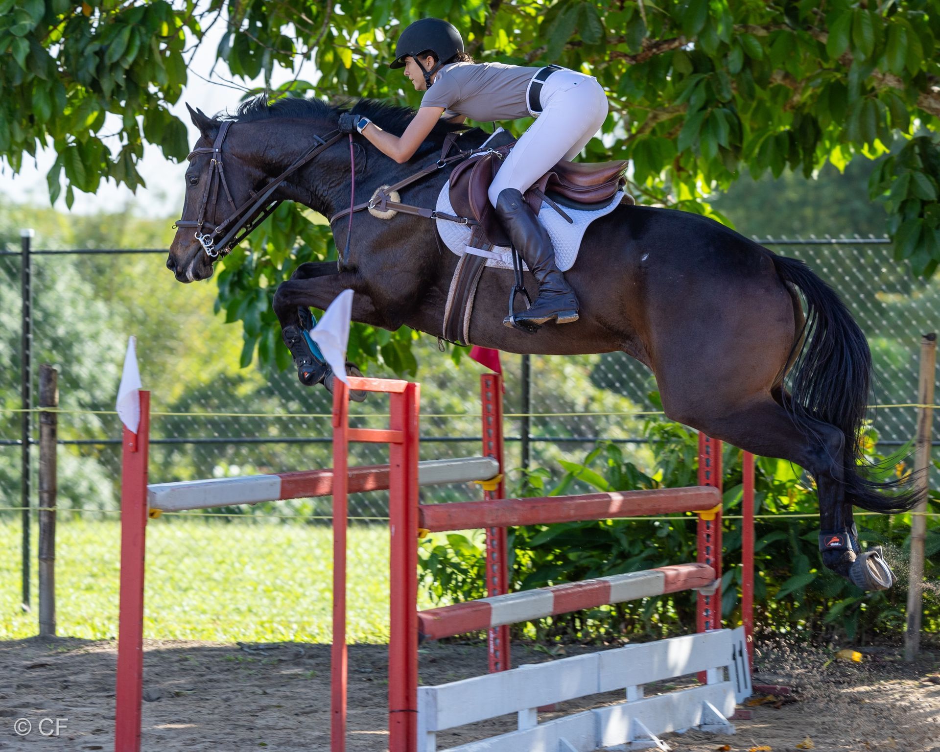 Justynne, Jaimie with Capers & Louvre