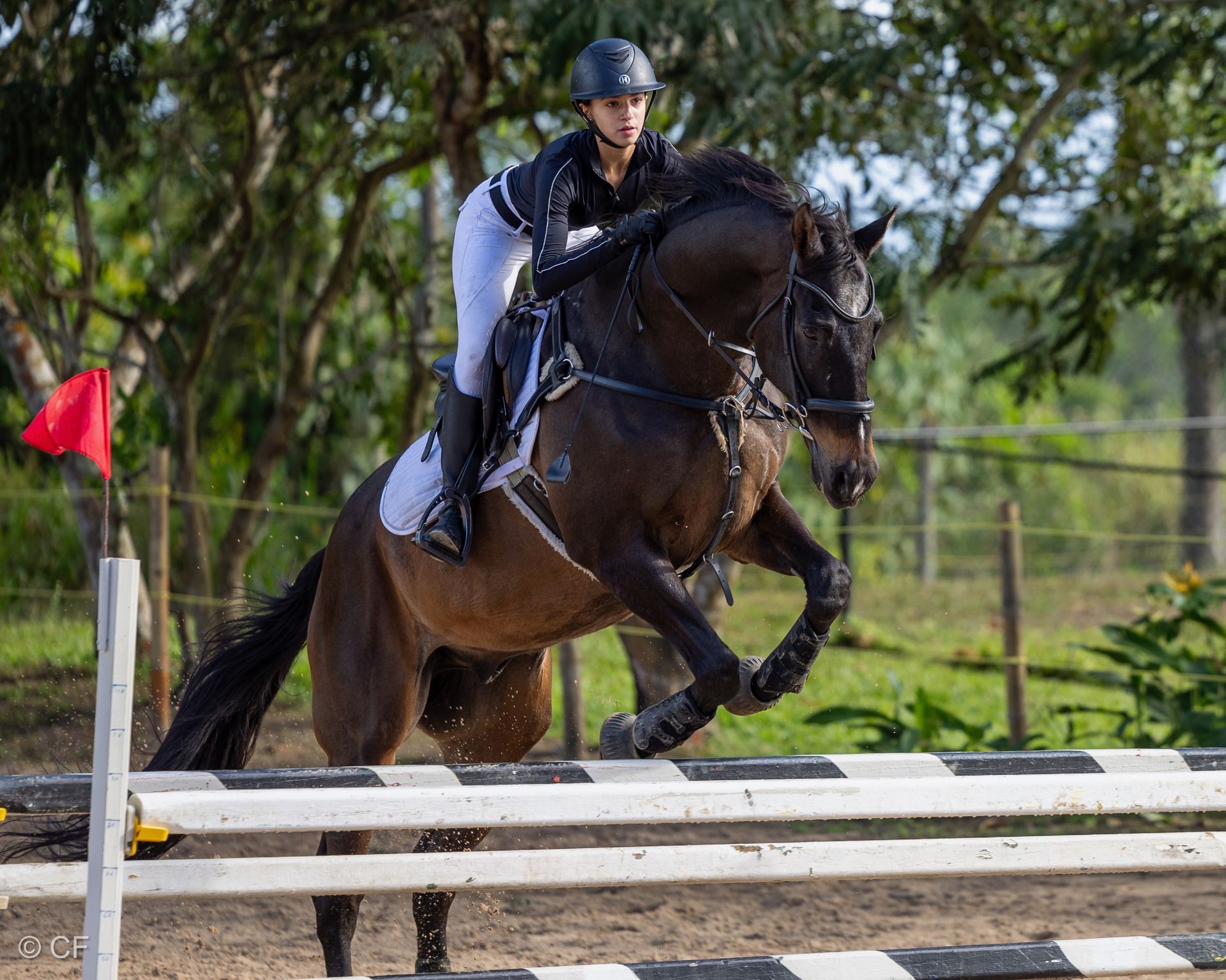 a person riding a brown horse
