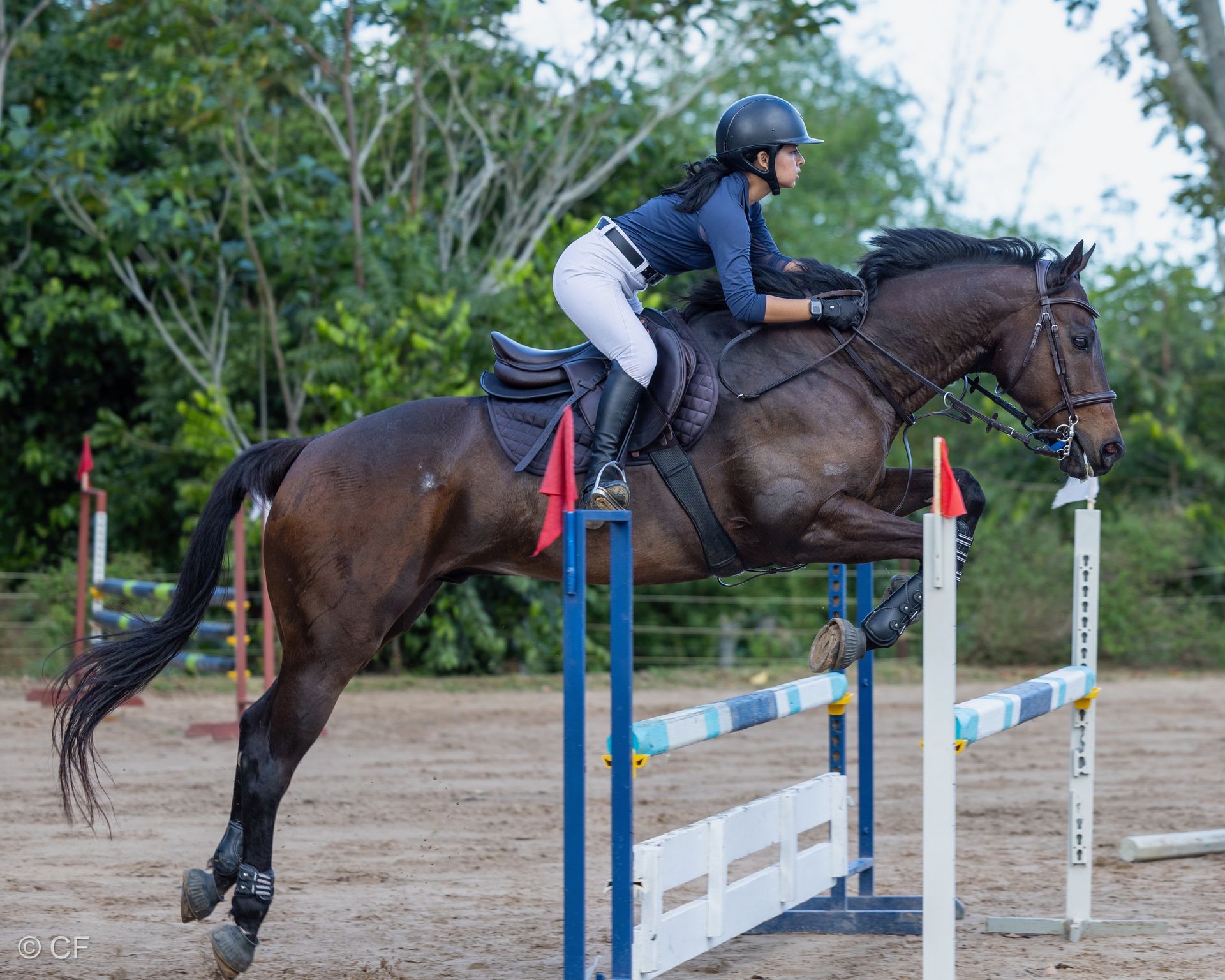a young person riding a horse with a blue saddle pad