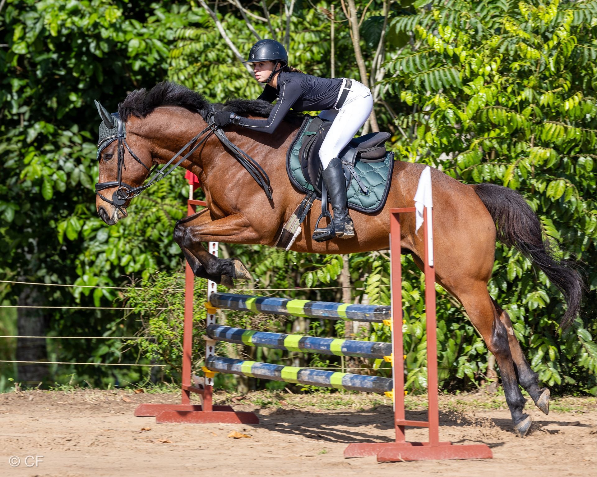 a young girl is riding a black horse