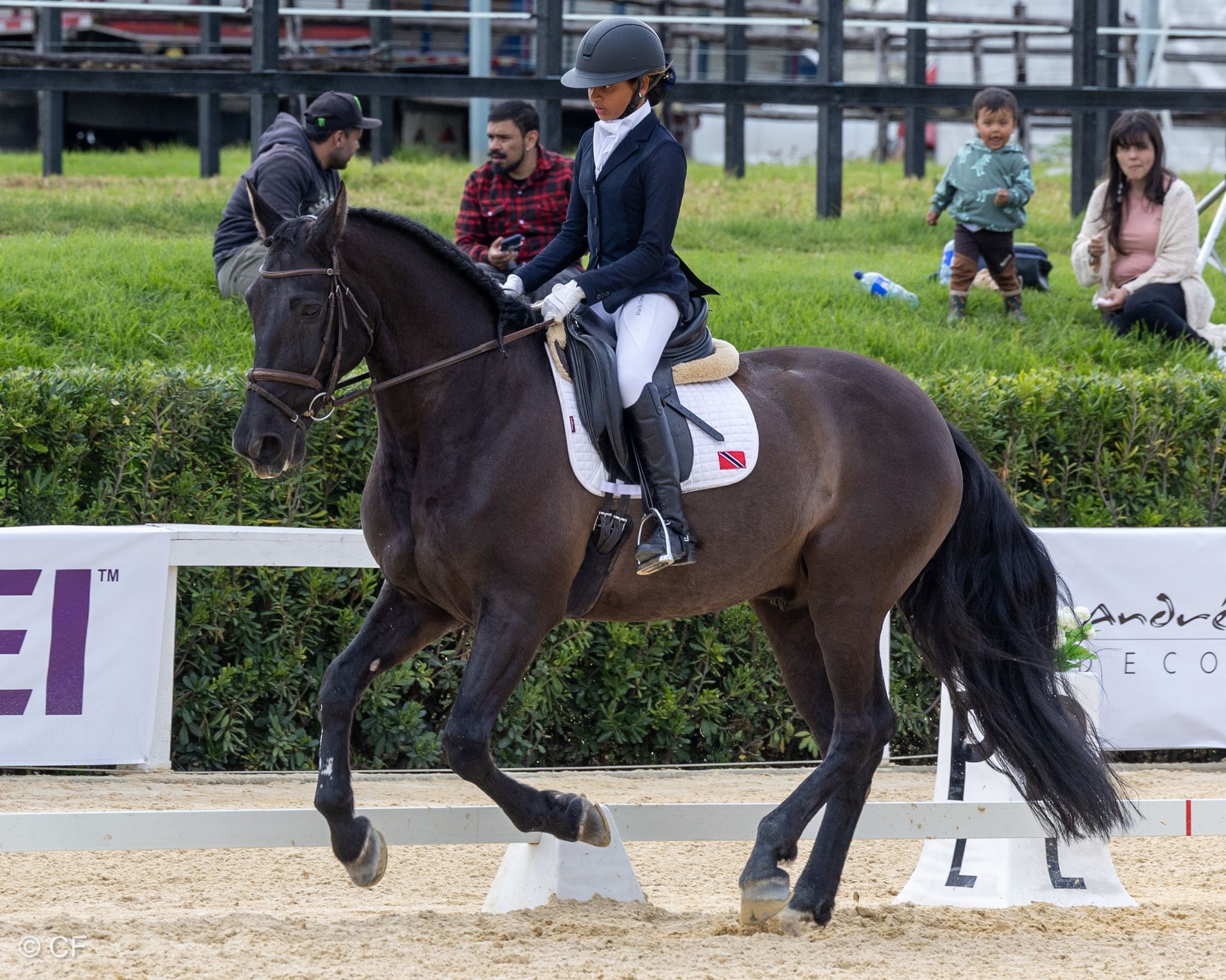 a person riding a brown horse