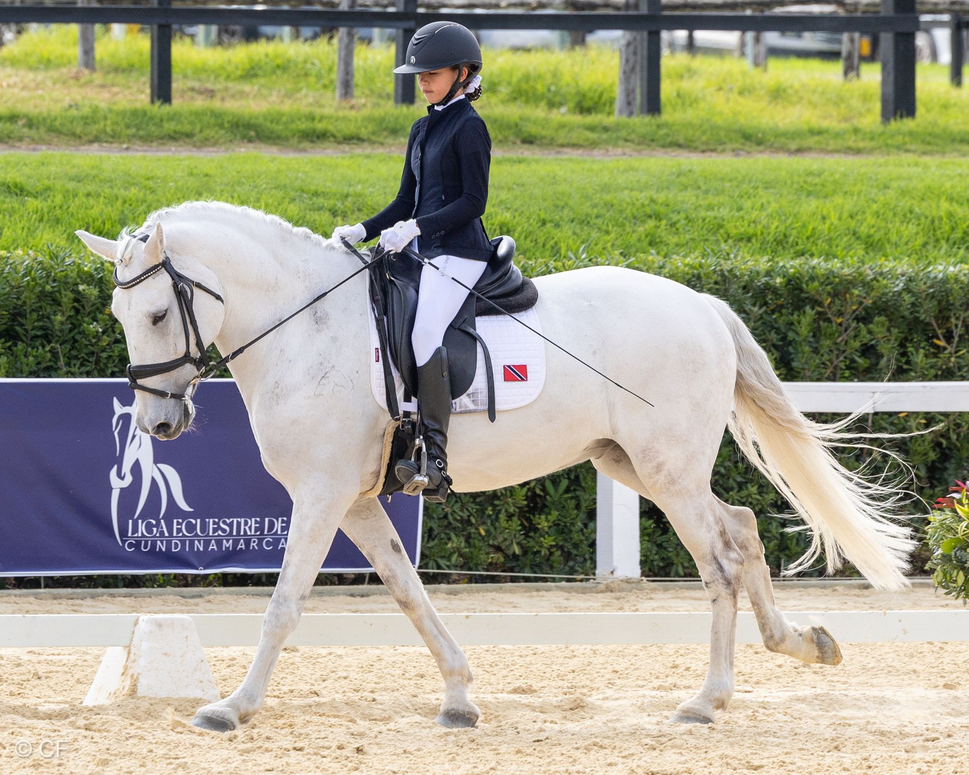 a young person riding a horse with a blue saddle pad