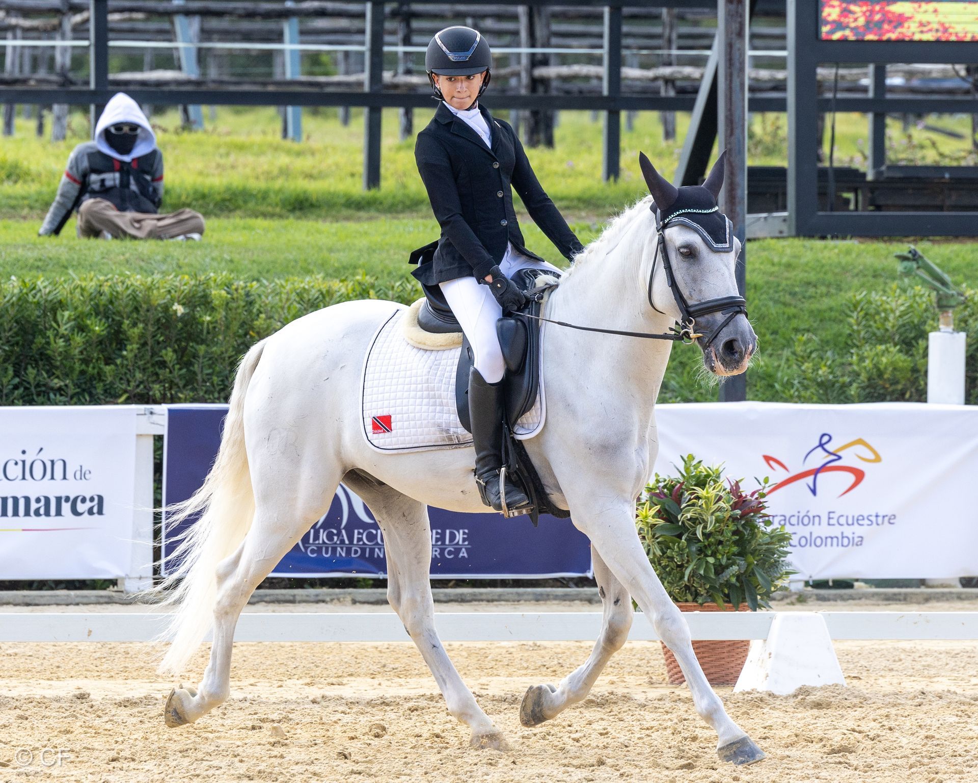 Justynne, Jaimie with Capers & Louvre