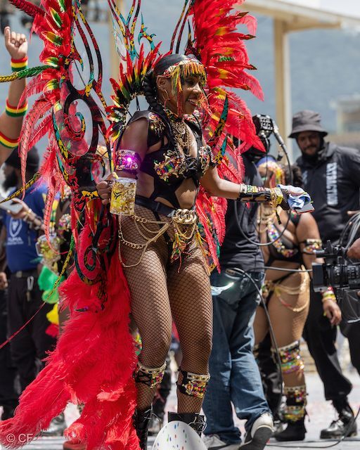 A woman in a colorful costume is walking down the street