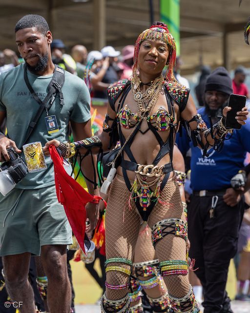 A woman in a very colorful costume is walking in a parade.