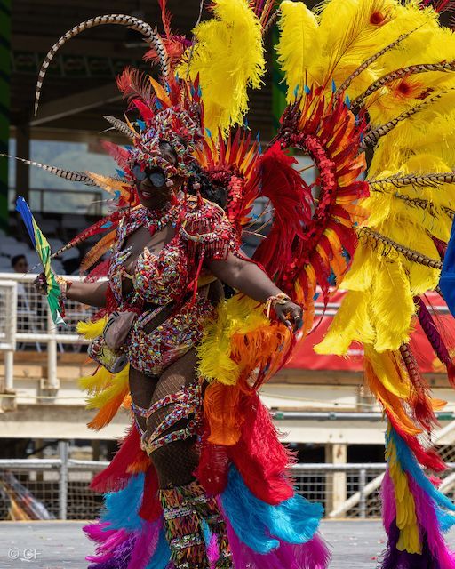 A woman in a colorful costume is holding a fan