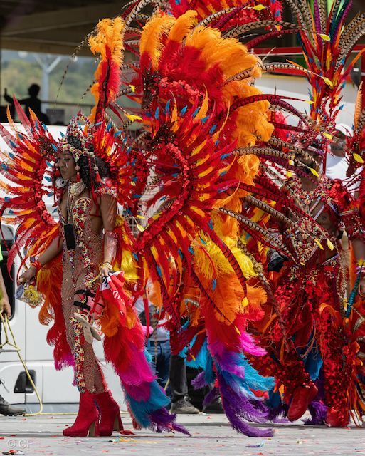 A group of people in colorful costumes are walking down a street.
