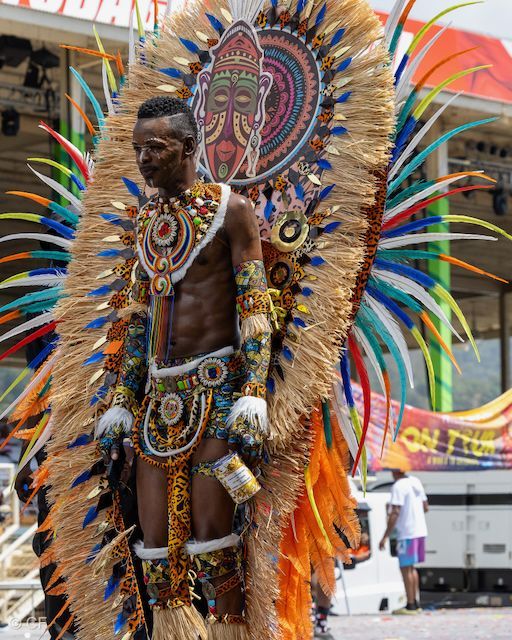 A man is wearing a colorful costume with feathers and a mask on his head.