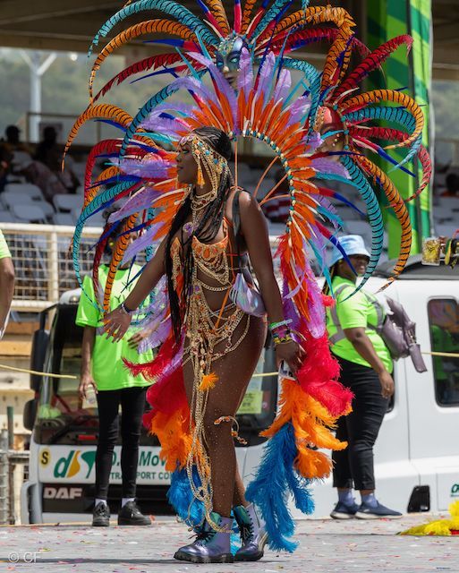 A woman in a colorful costume is walking down the street.