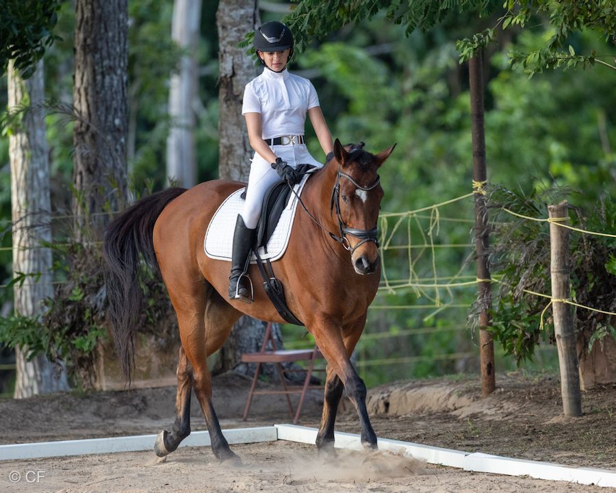 Justynne, Jaimie with Capers & Louvre