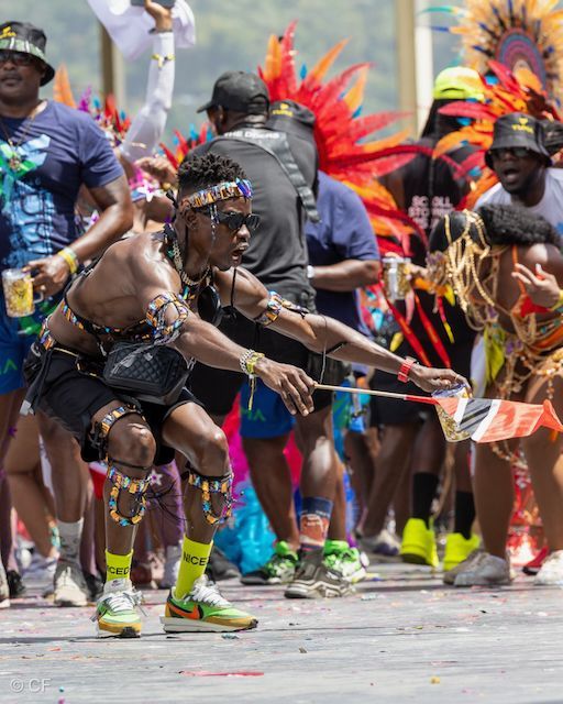 A man in a carnival costume is holding a flag.