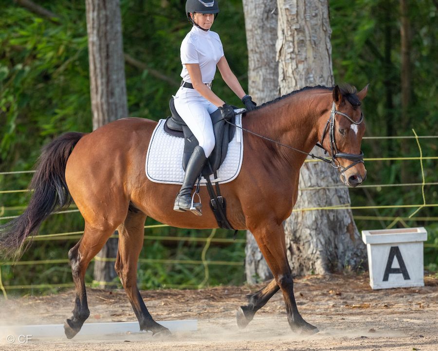a young person riding a horse with a blue saddle pad