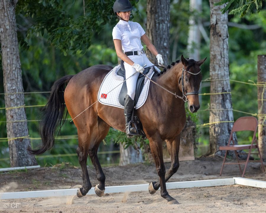 a young girl is riding a black horse