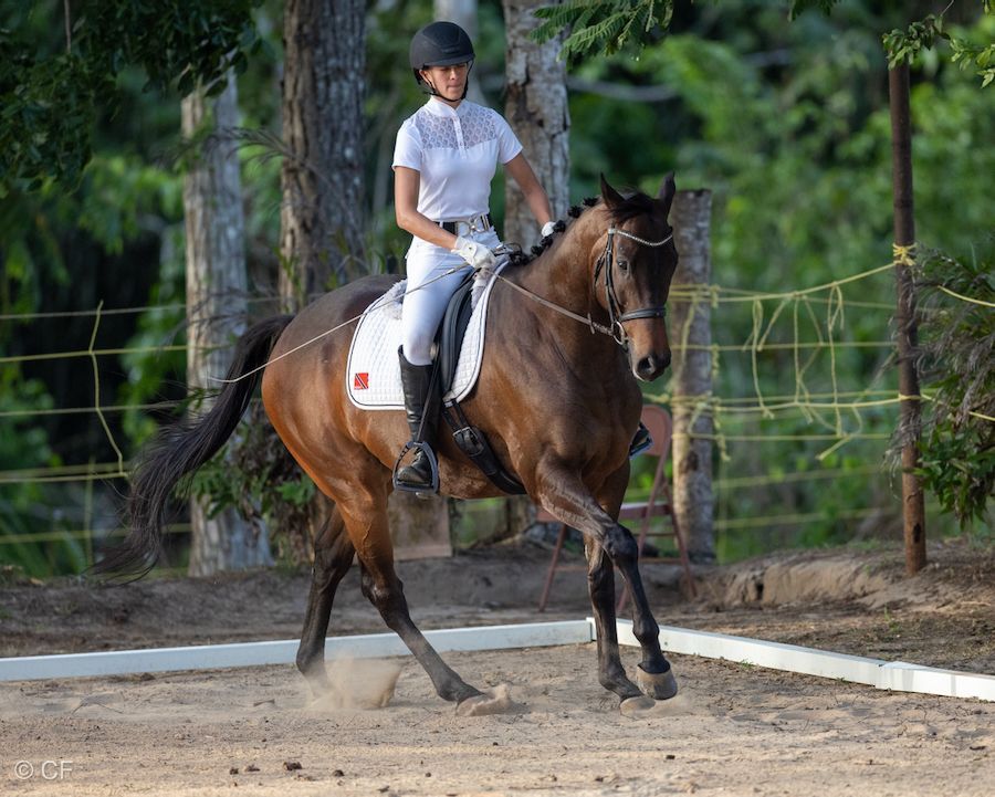 a person riding a brown horse