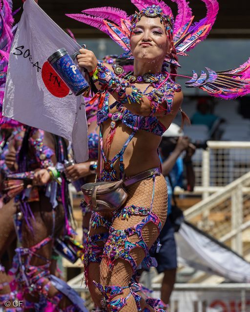 A woman in a colorful costume is holding a flag.