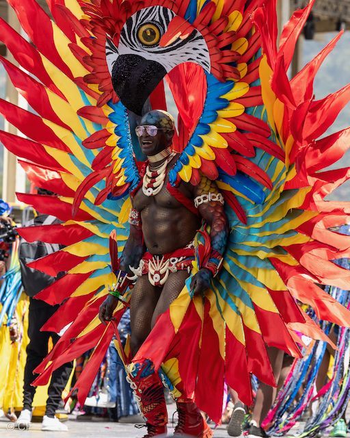 A man in a colorful costume with a bird on his head
