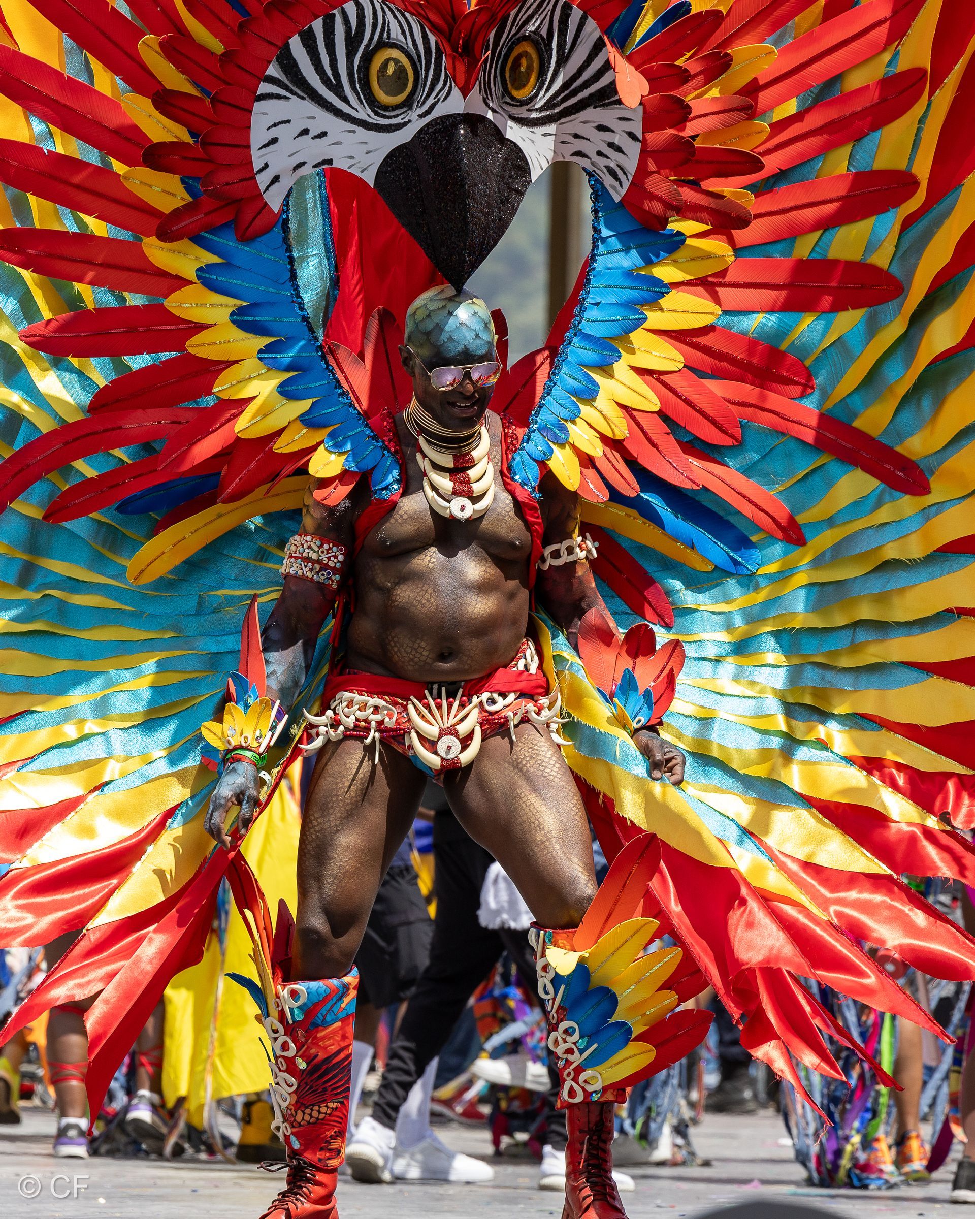A man in a colorful bird costume is standing on a street.