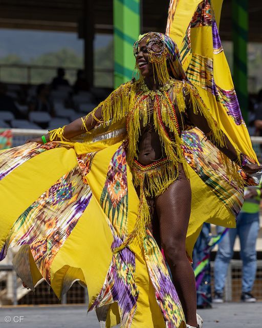 A woman in a yellow and purple costume is dancing