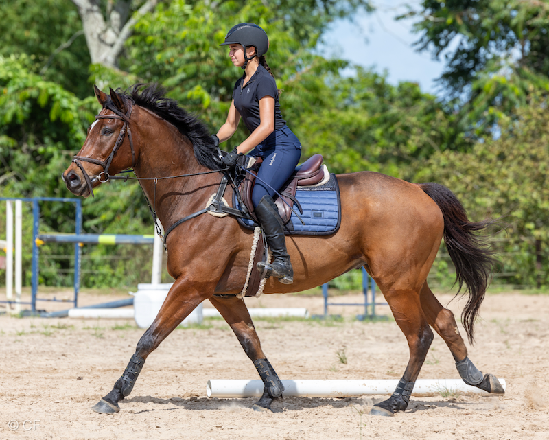 A woman is riding a brown horse in a dirt field.