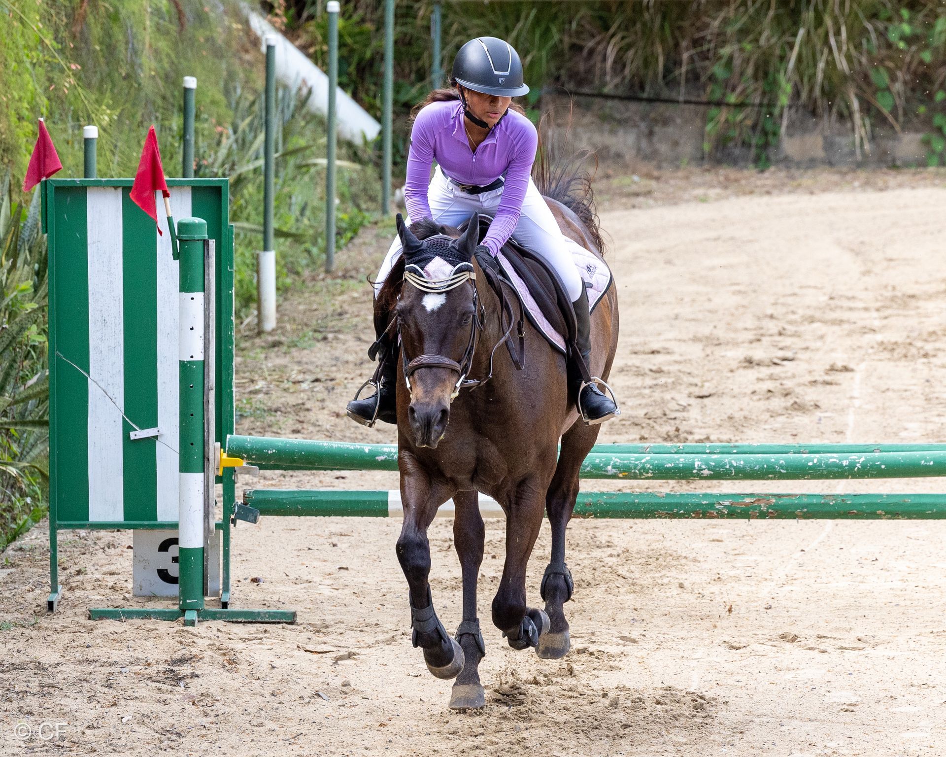 a person riding a brown horse