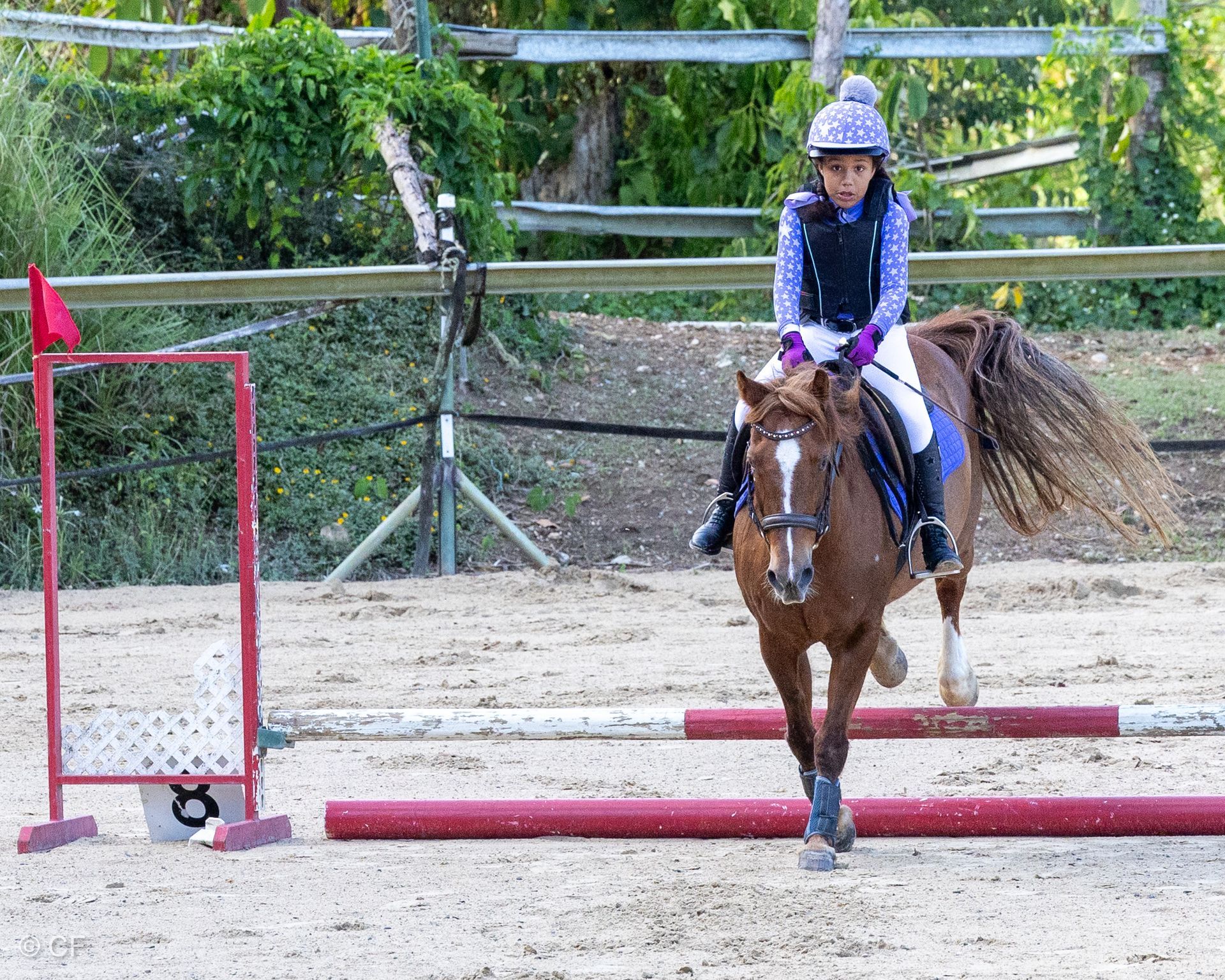 a young person riding a horse with a blue saddle pad