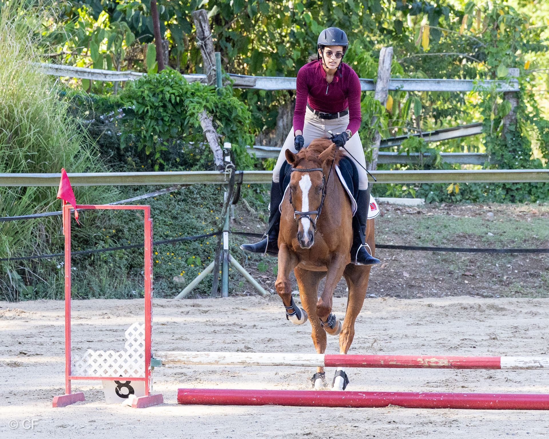 a young girl is riding a black horse