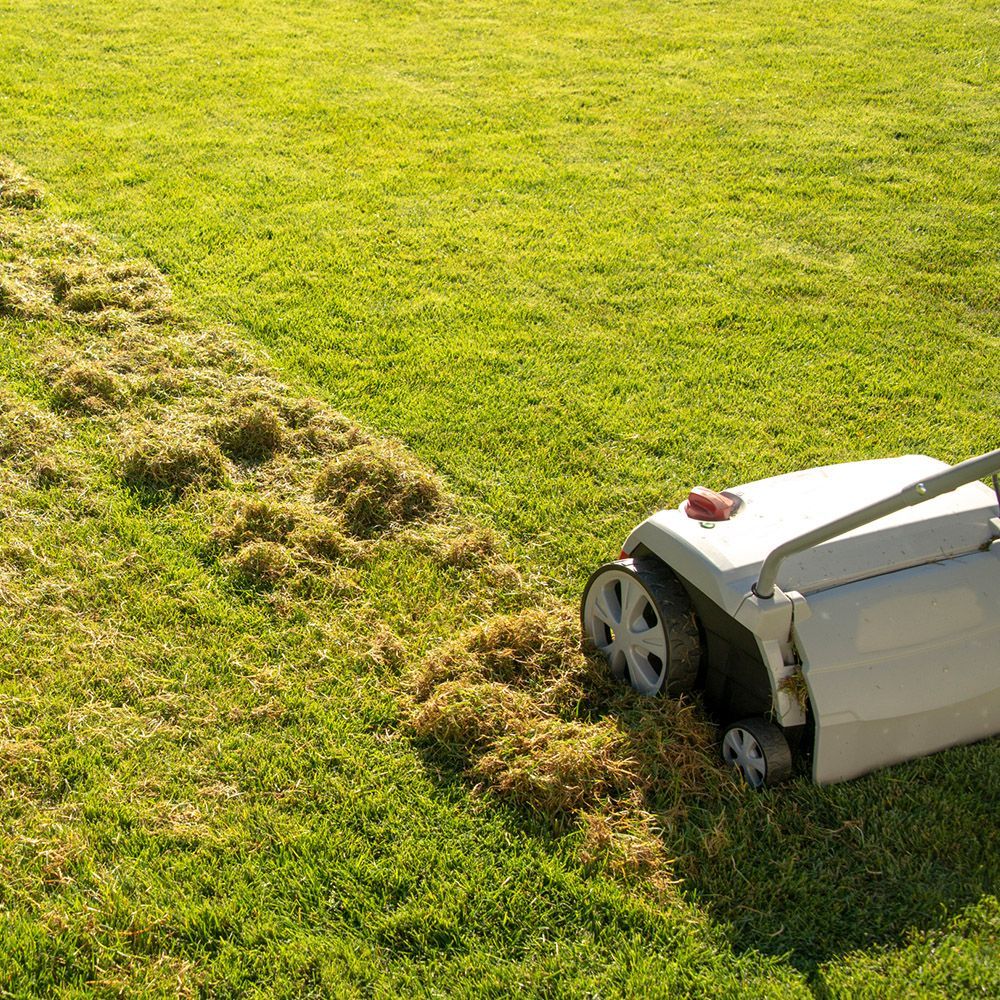A lawn sweeper gathers thatch from a green lawn on a sunny day. The machine has a light gray body and black wheels.