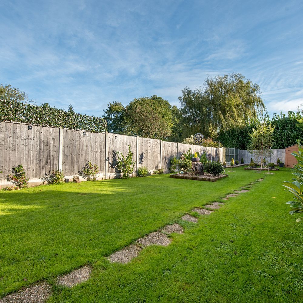 Lush green backyard with a wooden fence, stepping stones, and a blue sky.